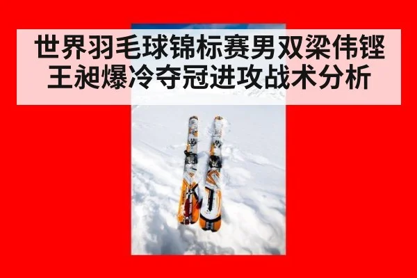 世界羽毛球锦标赛男双梁伟铿王昶爆冷夺冠进攻战术分析